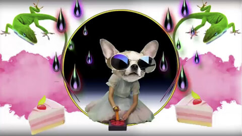 "Ubisoft - Chiwawa" directed by Anne Horel