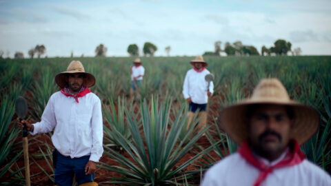 "Patron - Mixed and Mastered" directed by C.T. Robert