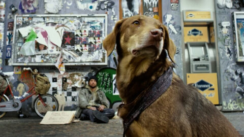 "Rone - Vood" directed by Ilan Cohen