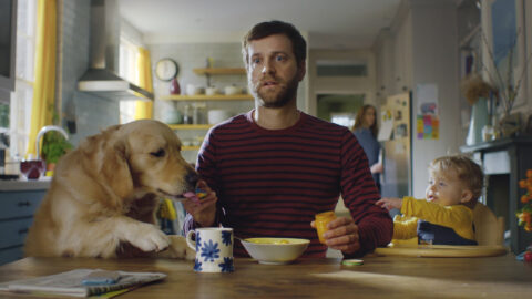 "Purple Bricks - Regrets" directed by Djawid Hakimyar