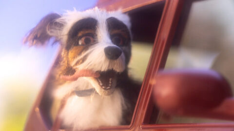 "Ilume - Stay" Tobias Fouracre