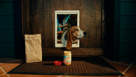 "DoorDash - Pandemic Puppy" directed by Luis Cervero
