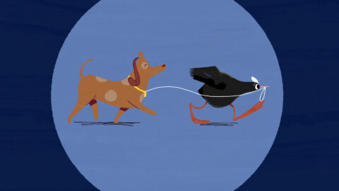 "Coot" directed by Marlies van der Wel