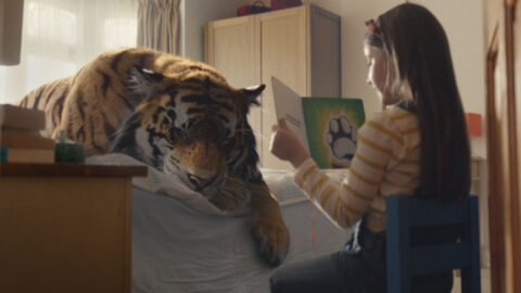"WWF | A Tiger in Suburbia" directed by Martin Stirling