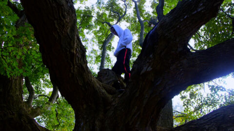 "Foo and Foo - Home is a cruel Playground" directed by Paul Gondry