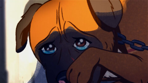 "RSPCA - Save Me" directed by Jack Brown