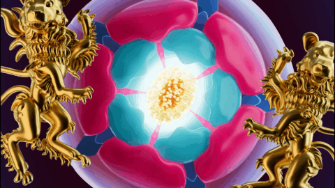 Women's Rugby World Cup "Opening Titles" directed by Clara Bacou